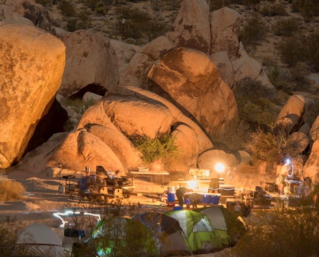 When is the Best Time to Camp in Joshua Tree